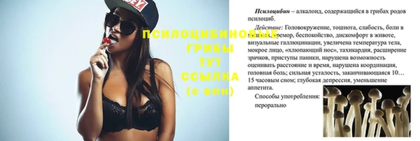 тгк Арсеньев